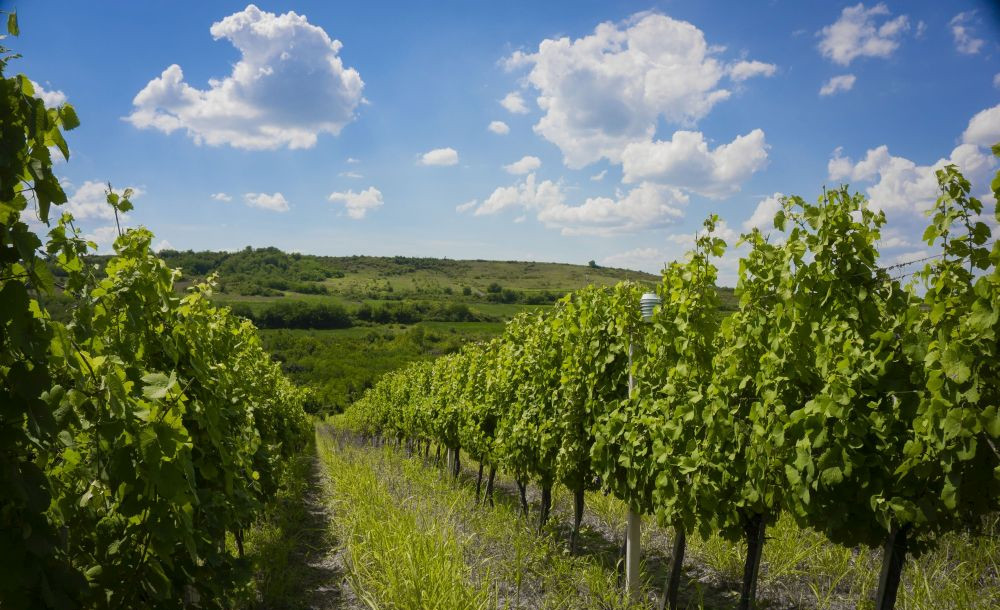 A Decade of Changes of Bioclimatic Indices in Europe