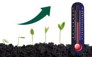 How Air Temperature Affects the Growth of Plants