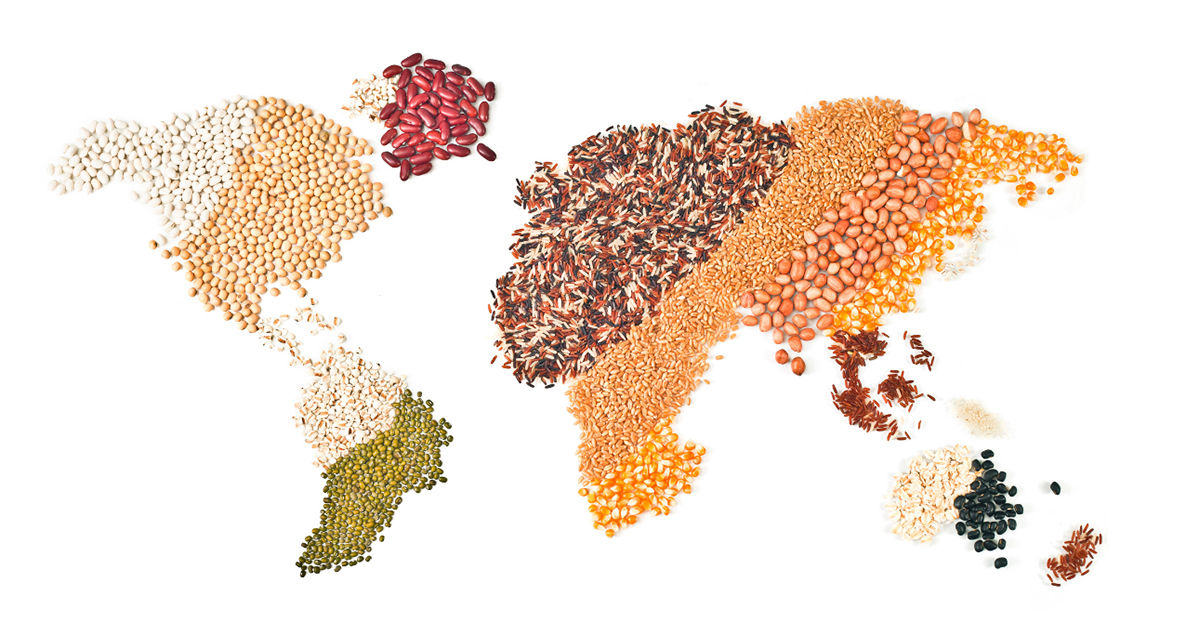 How Plant Growing Fits into Certain Climate Areas