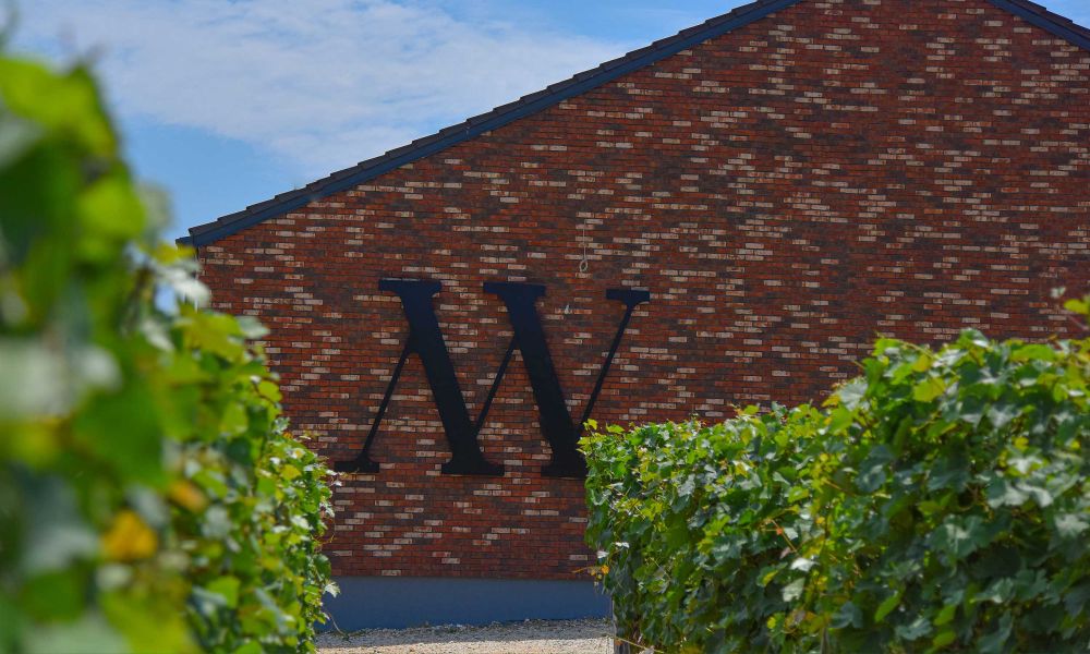 The best winegrowers adopting sustainable viticulture practices – Matalj Winery