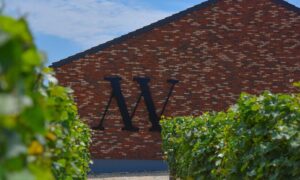 The best winegrowers adopting sustainable viticulture practices – Matalj Winery