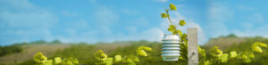 The importance of measuring weather parameters directly in vineyards
