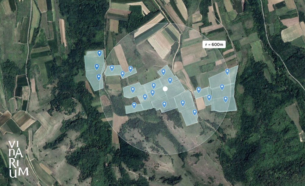 Температурне разлике у виноградима као изазов