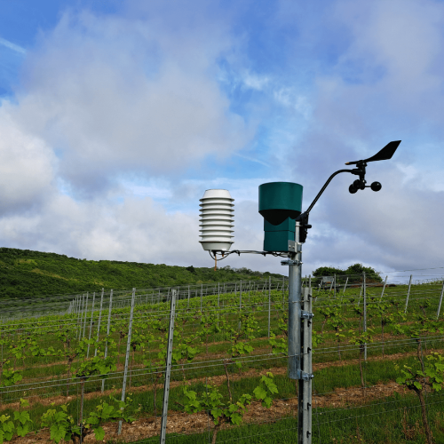 Atfield Technologies - Winessense in the vineyards
