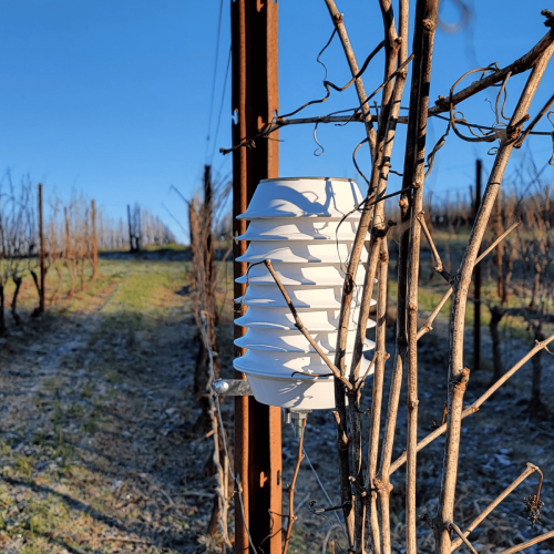 Atfield Technologies - Winessense in the vineyards