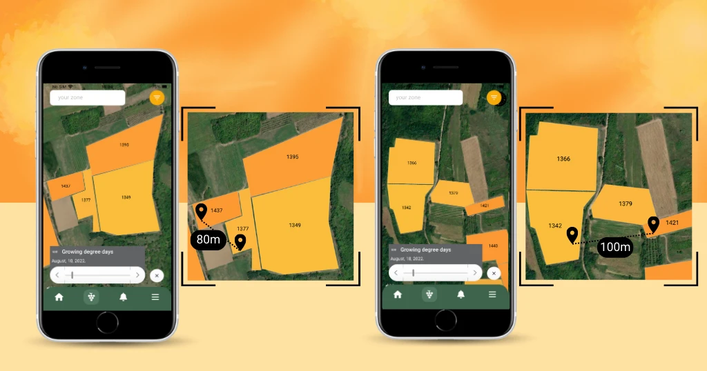 GDD values in August of 2022 on the neighboring plots in a radius of 150m that indicate a potential for 7-10 days difference in harvest dates for Pinot Noir grapes.