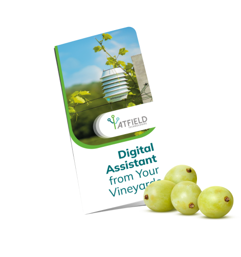 digital assistant from your vineyards, brochure, learn more about winessense