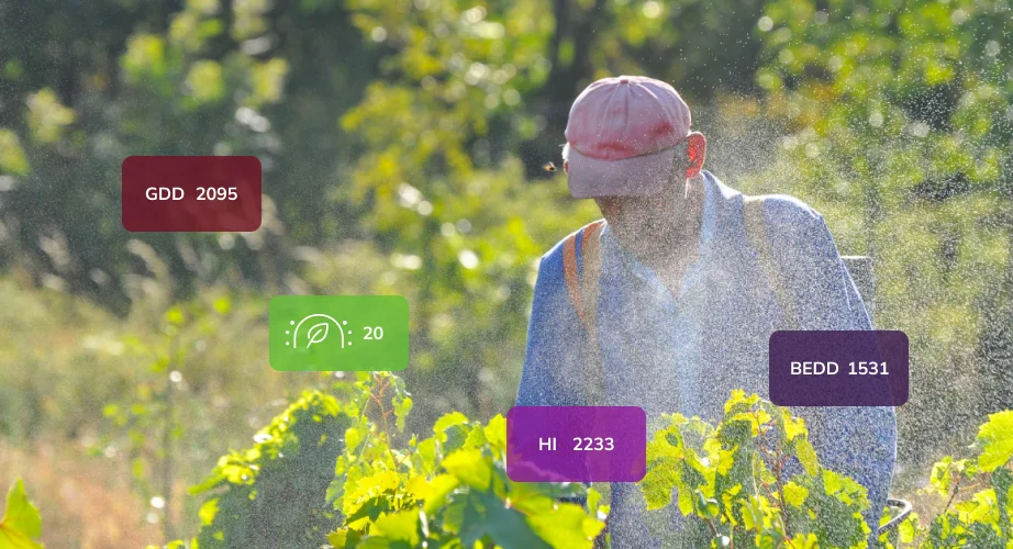 man spraying vineyard, with graphics of measured values of gdd, bedd, hi index and level of protection