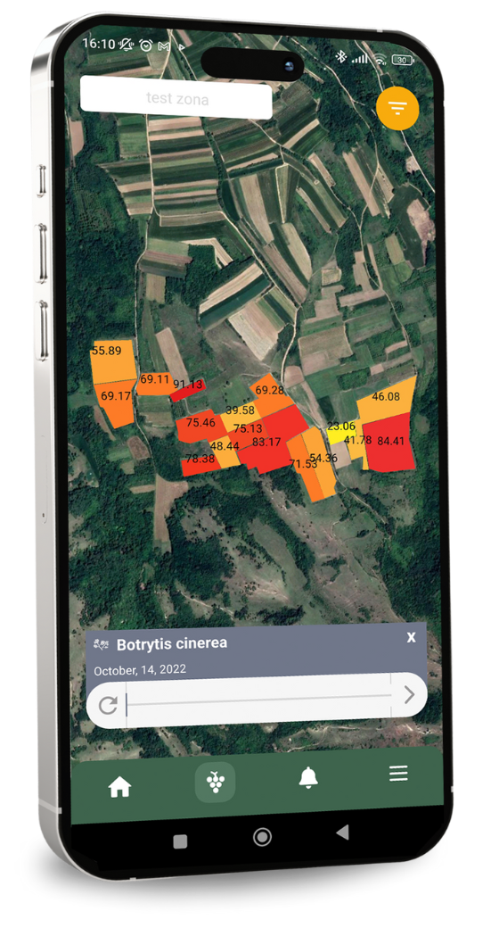 screenshot from winessense mobile app showcasing the view of the map section of the vineyards with selected botrytis infection potential to help users predict what happens in the near future